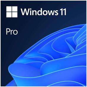 Microsoft-Windows-11-Professional-OEM-64-Bit-Kauflizenz-Englisch-01