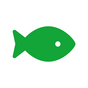 fisch-icon-education