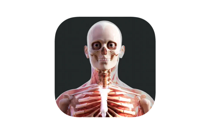 human-anatomy-4d-eduapps-visual