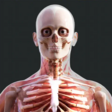 human-anatomy-4d-eduapps-icon