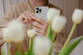Kameraeinstellungen für spektakuläre Aufnahmen mit iPhone Mann fotografiert Tulpen mit dem iPhone