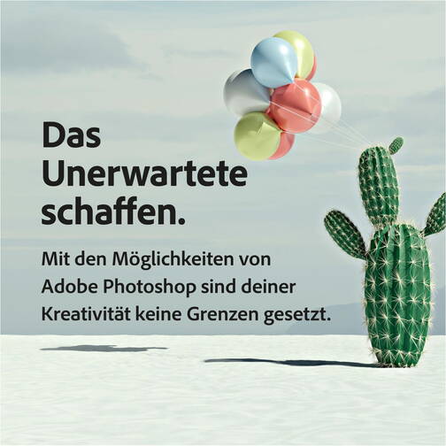 Adobe-Foto-Abo-Individuals-Retail-ESD-Download-Mietlizenz-macOS-Windows-12-Mo-05.jpg