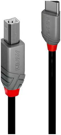 LINDY-USB-2-0-Typ-C-auf-USB-2-0-Typ-B-Adapterkabel-2-m-01.jpg