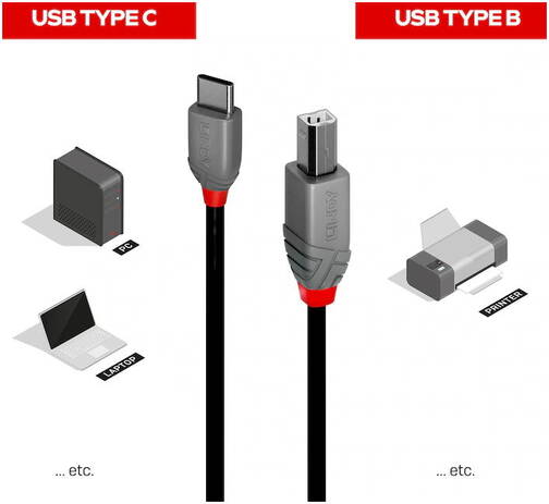 LINDY-USB-2-0-Typ-C-auf-USB-2-0-Typ-B-Adapterkabel-2-m-02.jpg