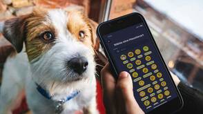 Haustierapp auf dem iPhone (Foto: Maria Novoseletskaya / unsplash) Hund schaut zu Frauchen mit iPhone